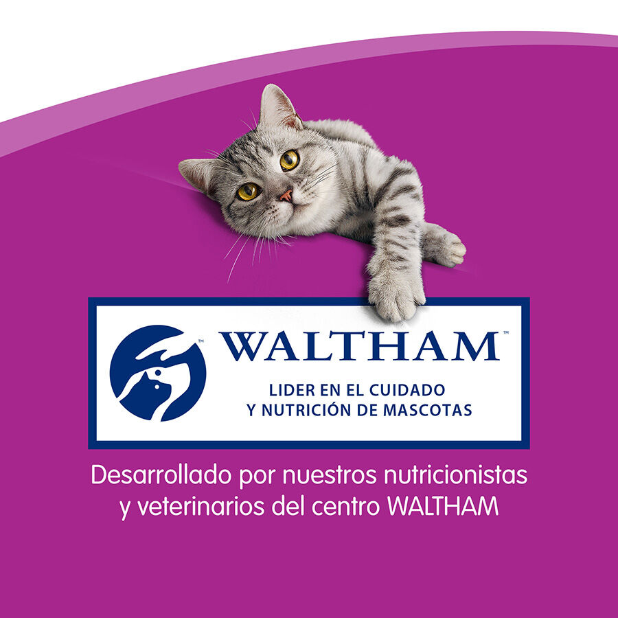3 barritas Whiskas Sticks Snacks  Salm&oacute;n para Gatos, , large indicador imagen numero 6